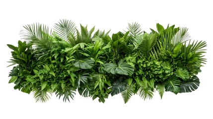 Fototapeta premium Lush Tropical Plant Arrangement Creating a Refreshing Green Bush
