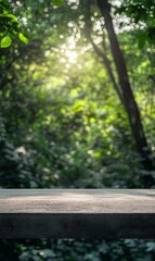 Sunlight filtering through dense forest foliage onto a rustic tabletop display surface