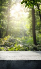 Fototapeta premium Sunlit forest backdrop with a stone surface perfect for showcasing nature inspired concepts