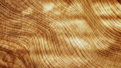 Fototapeta premium Close Up of Wooden Tree Rings with Natural Texture, Banner with tree rings at natural growth patterns and textures of wood. Circular lines and warm earthy tones, nature organic aesthetic background