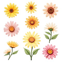a_beautiful_collection_of_graphic_elements_featuring_daisies_and_sunflowers_in_various_bright colors.