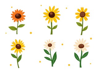 yellow sunflower isolated on white