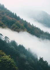 Obraz premium fog in the mountains
