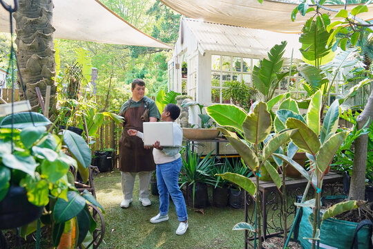 Disabled people working in plant nursery
