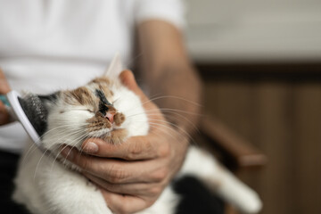 Relaxation and Grooming Process Captured