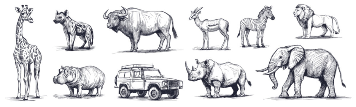 Safari animals. Hand drawn african lion rhino elephant hyena buffalo hippo giraffe gazelle car set vector illustration