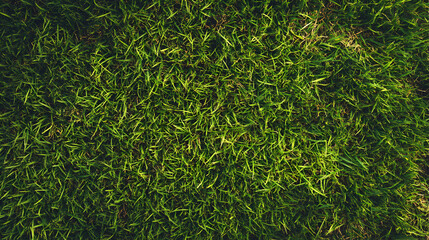 textura de pasto o hierba un campo de cesped verde en un parque o campo con espacio de copia