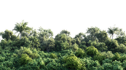 Obraz premium Green trees and forests