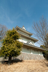 Fototapeta premium 騎西城