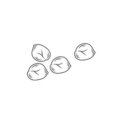 chickpea line sketch