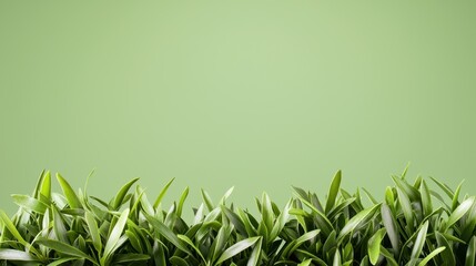 Fototapeta premium Investing in green sustainable growth eco-friendly returns from nature's abundance