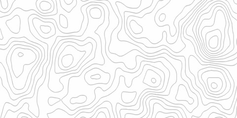 White topography topology vector white background fresh contour map texture. white seamless pattern Abstract background with a wave Topography and geography map grid abstract backdrop.