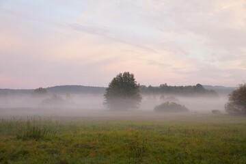 Fototapeta premium Peaceful Rural Landscape with Morning Mist