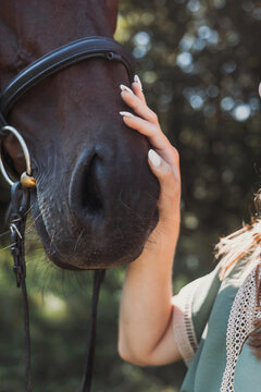 Young Girl Interaction with a Horse in a Natural Setting
