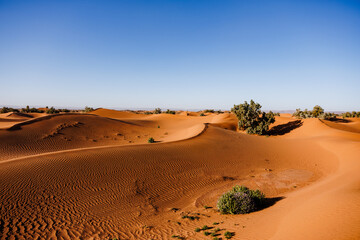 Sahara desert landscape, amazing experience in Morocco, isolated in the middle of arid sandy dunes.