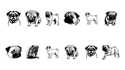 pug and dog and pug dog and cat French bulldog puppy and dog