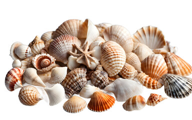 A seashell collection with different shapes and colors, isolated on a empty plain background