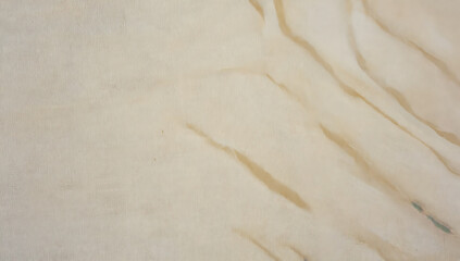 Beige Fabric Texture