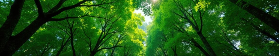 Fototapeta premium Emerald Canopy Dense green foliage covering the top of the tree, dense foliage, verdant landscape, foliage
