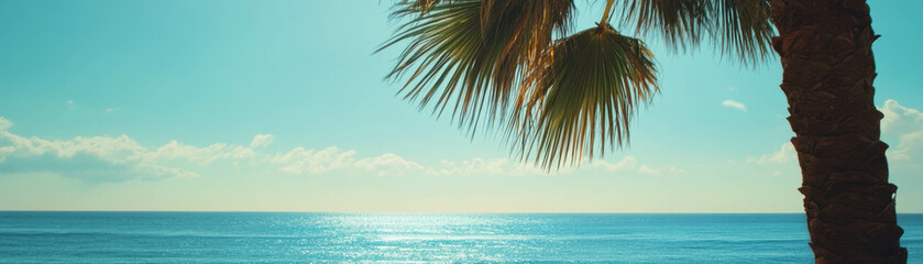 Naklejka premium View of ocean horizon framed by palm tree under clear blue sky