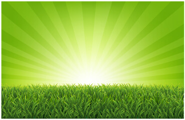 eGrassBorderWithGeenSunburstBackground_10_M_250206