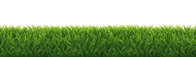 Grass Border With Transparent Background