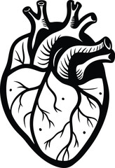 human heart silhouette, human heart vector icon design, anatomical illustration graphic
