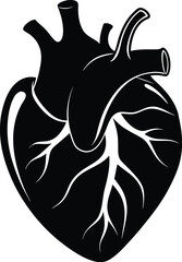 human heart silhouette, human heart vector icon design, anatomical illustration graphic