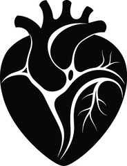 human heart silhouette, human heart vector icon design, anatomical illustration graphic