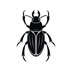 black beetle vector illustration isolated on white background
