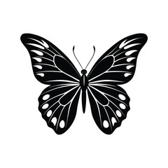 butterfly vector illustration isolated on white background