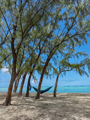 Tropical tranquility beach escape: Hammock between trees with ocean view. Coastal relaxation scene. Peaceful shoreline retreat.