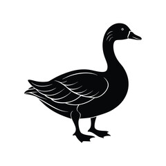 goose vector illustration isolated on white background