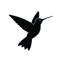 vector illustration of a hummingbird