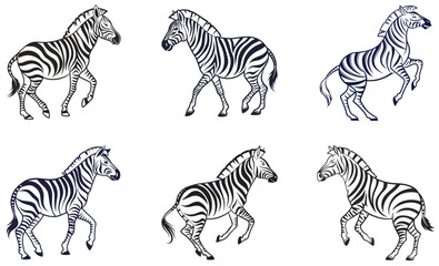Fototapeta premium Black and White Vector Illustration Set of Zebras in Various Poses Wildlife and Safari Theme