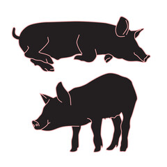 line outline pig sleeping and standing, vector illustration