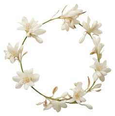 Fototapeta premium PNG Real pressed tuberose flowers wreath petal plant.
