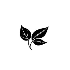 Minimalist depiction of three leaves: a black and white vector composition.