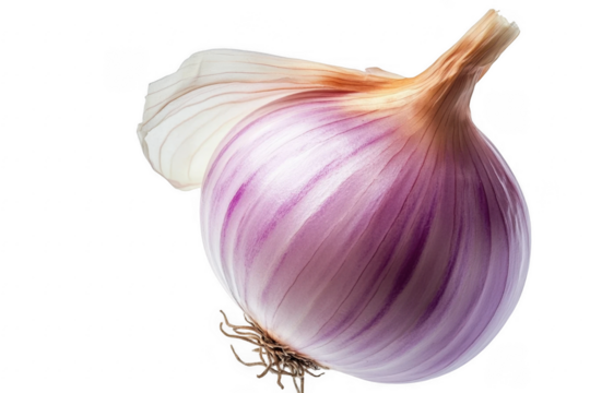 Fresh whole onion isolated on transparent background, high-quality PNG image for culinary and graphic design projects, ideal for recipes, food blogs, and kitchen-themed visuals