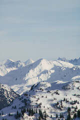Verschneite Berglandschaft mit Tannen in den Alpen