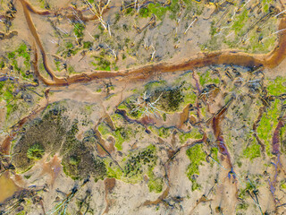 A striking aerial image capturing the intricate, colorful patterns of a marshland. The mix of earthy tones, green patches, and winding waterways creates an abstract natural composition.