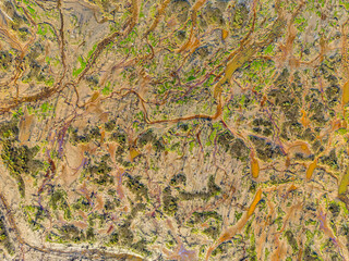 A striking aerial image capturing the intricate, colorful patterns of a marshland. The mix of earthy tones, green patches, and winding waterways creates an abstract natural composition.