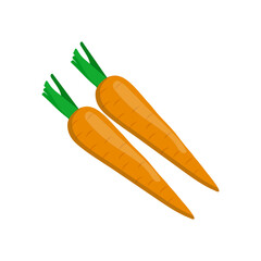 Carrots, Fitness Flat Vector Illustration Isolated