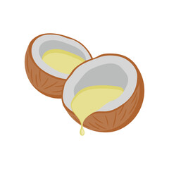 Coconut Oil, Beauty and Spa Vector isolated Illustration
