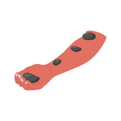 Arm Stone, Therapy flat vector illustration isolated