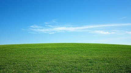 Obraz premium Vibrant Green Grass Field Under Clear Blue Sky Landscape View