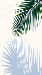 palm leaf shadow on abstract white sand beach background, sun lights on water surface, beautiful background concept for summer vacation at the beach, vector style. with white shades