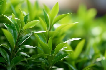 Naklejka premium Vibrant abstract green foliage illuminated by gentle natural light. Generative AI