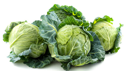 Fototapeta premium Cabbage on an isolated white background, object focused, png, stock image, hd quality