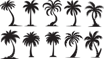 Fototapeta premium Tropical palm tree vector set for vintage and retro artwork